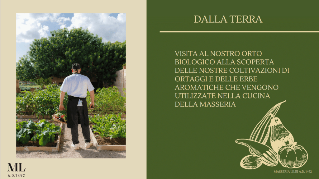 LiLei - Masseria tipica del Salento e Ospitalità Rurale a Lecce e Provincia, Agriturismo Lecce, Masseria, Mare, Masseria Rurale, Camere, | tenuta lecce | matrimonio in masseria salento | masserie salento cena | allestimento matrimonio country chic | masserie a lecce e dintorni