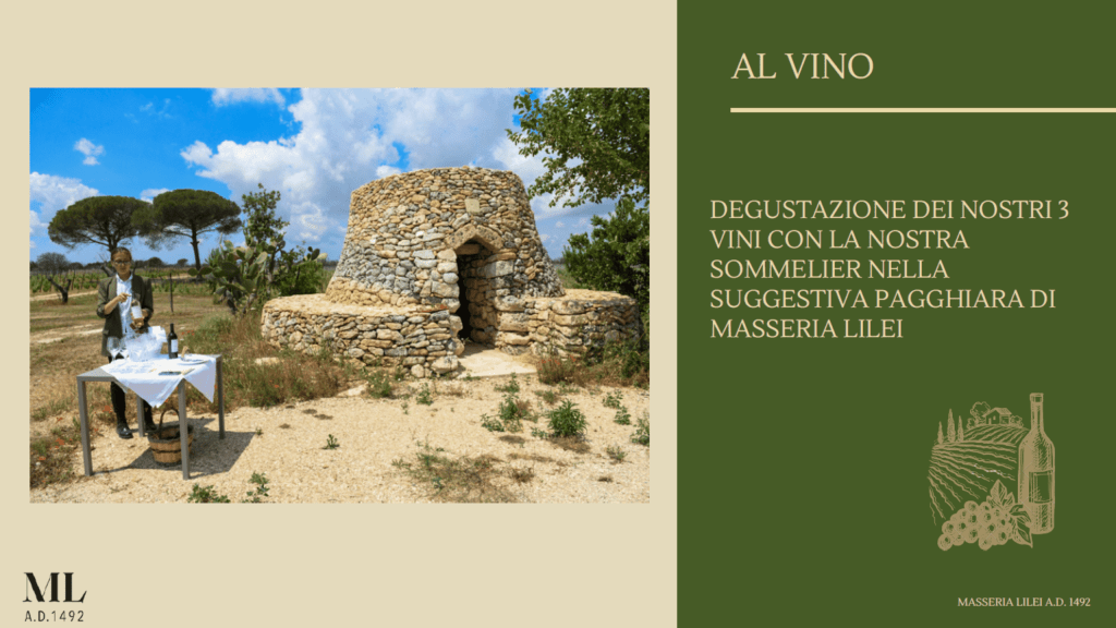 LiLei - Masseria tipica del Salento e Ospitalità Rurale a Lecce e Provincia, Agriturismo Lecce, Masseria, Mare, Masseria Rurale, Camere, | tenuta lecce | matrimonio in masseria salento | masserie salento cena | allestimento matrimonio country chic | masserie a lecce e dintorni